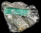 Beryl (Var: Emerald) Crystal in Schist & Biotite - Bahia, Brazil #44124-1